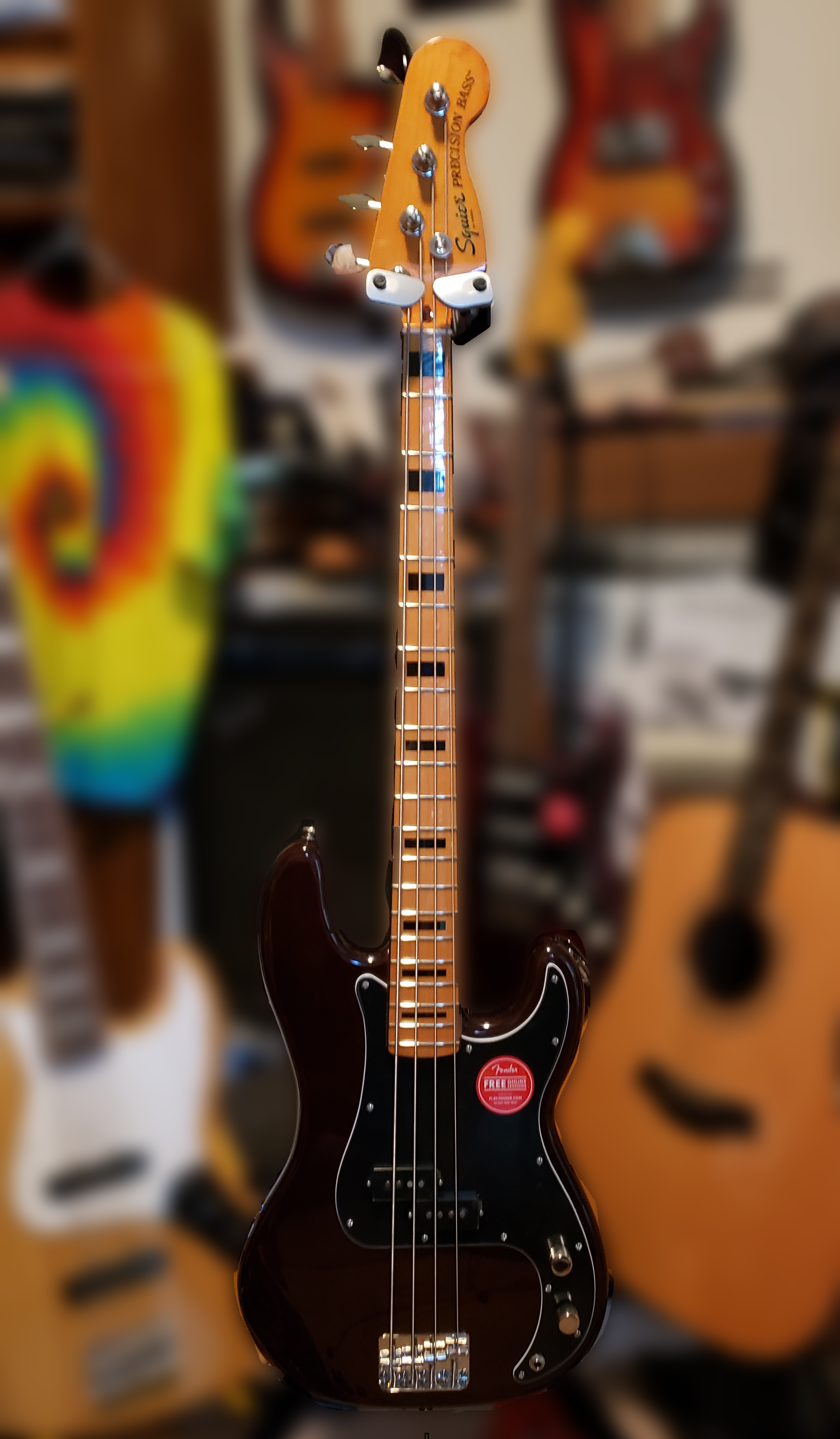 2019 Fender American Professional Precision Bass V