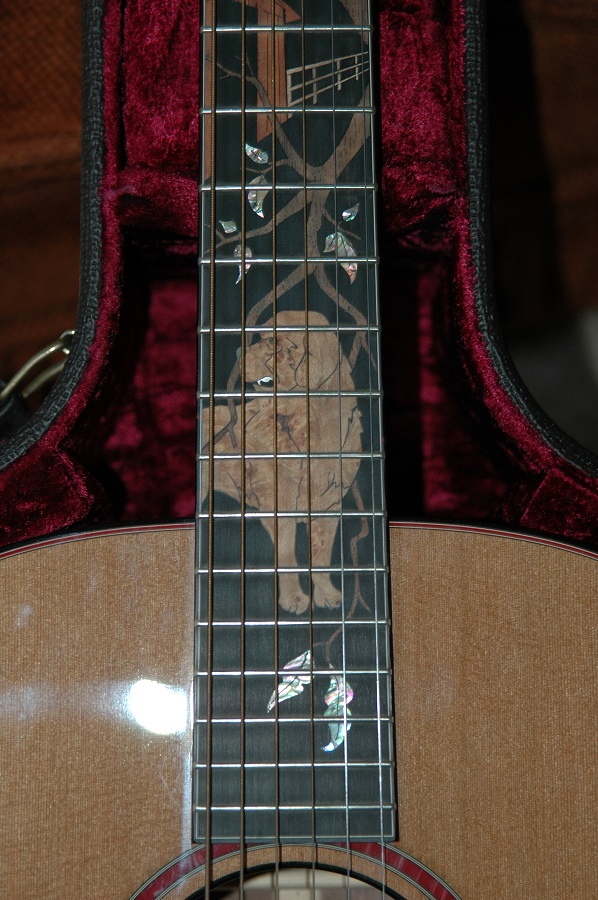1997 Taylor Cujo-14 Limited<br>Close-up of Neck